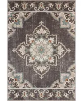 Lr Home Heirloom HRL81462 5'3" x 7'10" Outdoor Area Rug