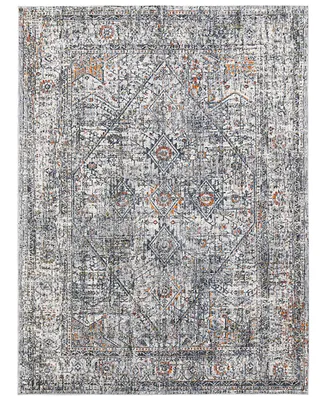 Amer Rugs Vermont Chelsea 7'10" x 9'10" Area Rug