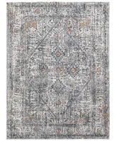 Amer Rugs Vermont Chelsea 7'10" x 9'10" Area Rug