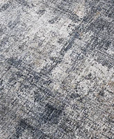 Amer Rugs Vermont Allaine 2'7" x 8' Runner Area Rug