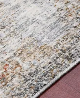 Amer Rugs Vermont Erysse 7'10" x 9'10" Area Rug