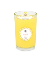 Seeking Balance Uplift Lemon Bergamot Spa Jar Candle, 8 oz