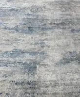 Exquisite Rugs Cassina ER3932 8' x 10' Area Rug