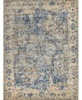 Exquisite Rugs Cassina Er3906 Area Rug