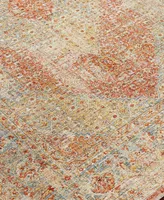 Surya Aspendos Aps- 2' x 3' Area Rug