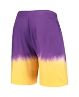 Men's Mitchell & Ness Purple, Gold Los Angeles Lakers Hardwood Classics Authentic Shorts