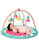 Skip Hop Watermelon Play Gym, 7 Piece Set