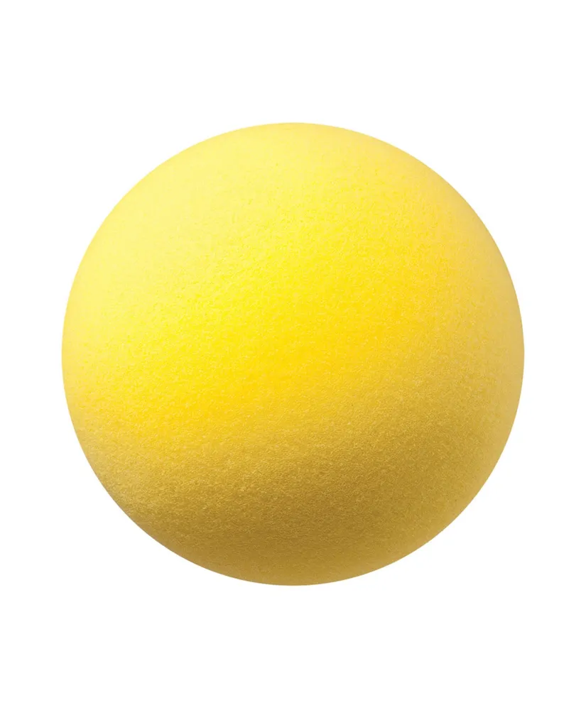 Champion Sports Uncoated Regular Density Ball, 8.5"