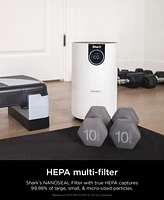 Shark Air Purifier with True Hepa, Microban Antimicrobial Protection, Cleans up to 500 Sq. Ft, HP102