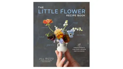 The Little Flower Recipe Book: 148 Tiny Arrangements for Every Season and Occasion by Jill Rizzo