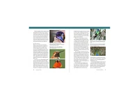 The Hummingbird Handbook