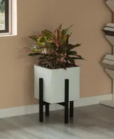 Indoor and Outdoor Planting Box, Large Planter