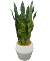 Modern Snake Artificial Plant, 15.4"