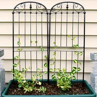 Sunnydaze Decor 32 in Steel Wire Traditional Garden Plant Trellis - Set of 2
