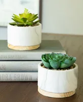 Flora Bunda Succulent in Base Set, 2 Piece