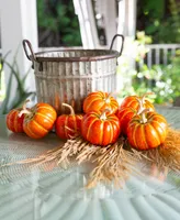 Flora Bunda Boxed Pumpkins Set, 8 Piece