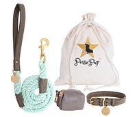 PoisePup Pet Dog Collar - Desert Mint