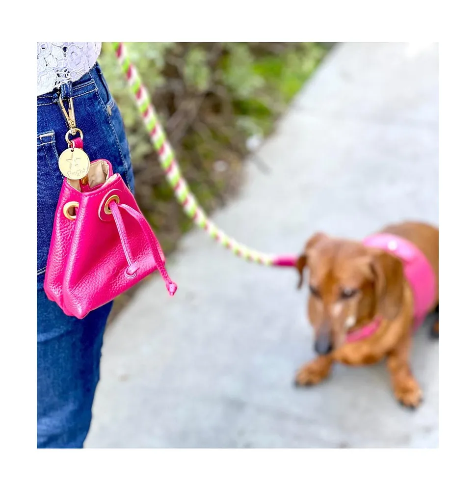 Pet Dog Treat Bag - Candy Swirl