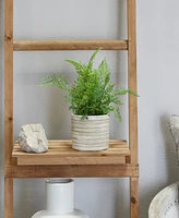 Traditional Fern Artificial Plant, 10.55"