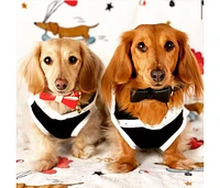 PoisePup Pet Dog Bow Tie - Dark Night