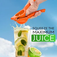 Premium Quality Metal Lemon Squeezer, Citrus Juicer, Manual Press