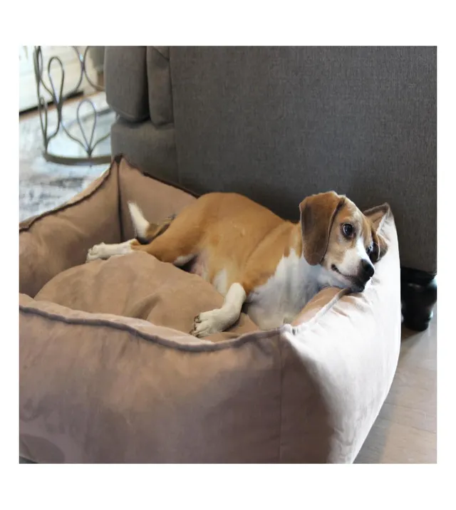 BuddyRest Comfort Deluxe Memory Foam Dog Bed - Large - Champagne Beige