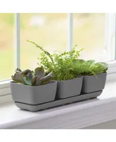 Novelty (10010) Herb Trio with Attached Tray, 12" x 14" - Grey