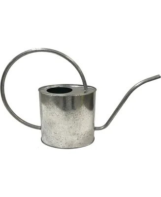 Gardener Select Metal Oval Watering Can, Galvanized, 0.5 Gallon