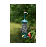 Squirrel Buster Legacy Squirrel-proof Bird Feeder 2.6lb Seed Capacity