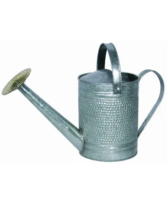 Robert Allen Home and Garden IronLite Jameson Watering Can, Galvanized