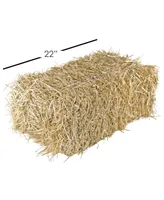 Garden Elements Straw Bale by Shady Creek Farm, Multi-Use, 22"