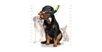 Tuffy Barnyard Duck, Dog Toy