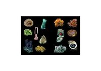 Cabinet of Curiosities: Over 1,000 Curated Stickers from the Fascinating Collections of the Smithsonian by Smithsonian Institution