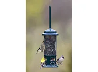 Brome 1057 Squirrel Buster Standard Wild Bird Feeder 1.3 Lb Capacity