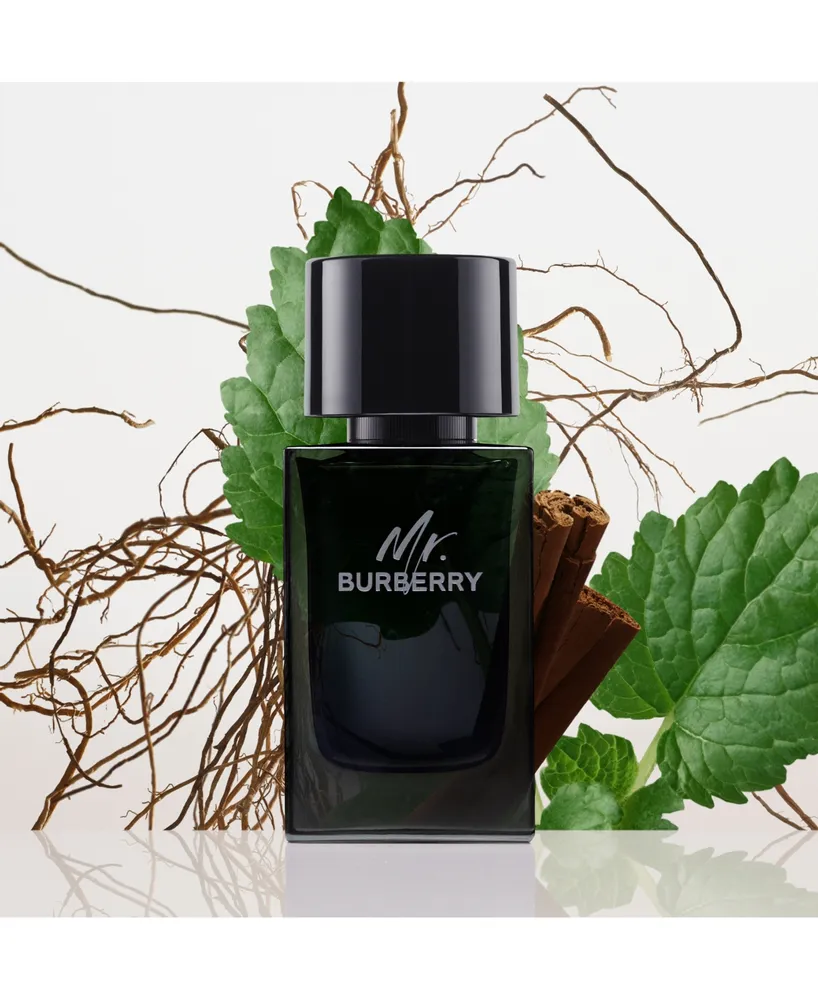 Burberry Men's Mr. Burberry Eau de Parfum
