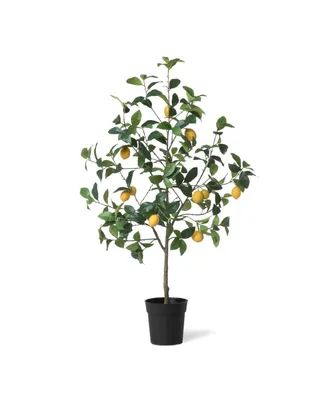 Lemon Tree in Plastic Pot