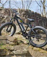 Gopowerbike GoSpeed Fat-Tire Electric Bike