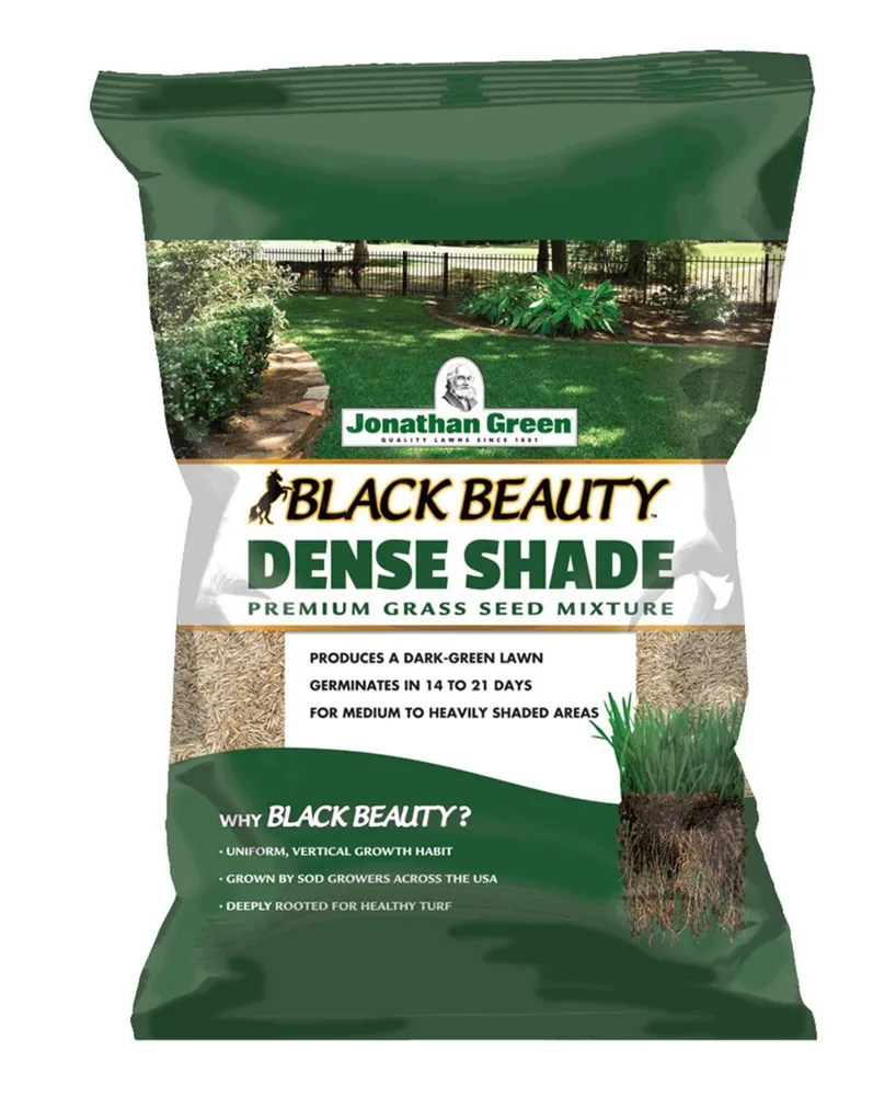 Jonathan Green Black Beauty Dense Shade Grass Seed Mix