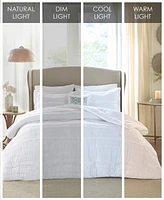 Madison Park Celeste 5-Pc. Comforter Set