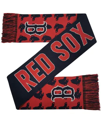 Men's and Women's Foco Boston Red Sox Reversible Thematic Scarf