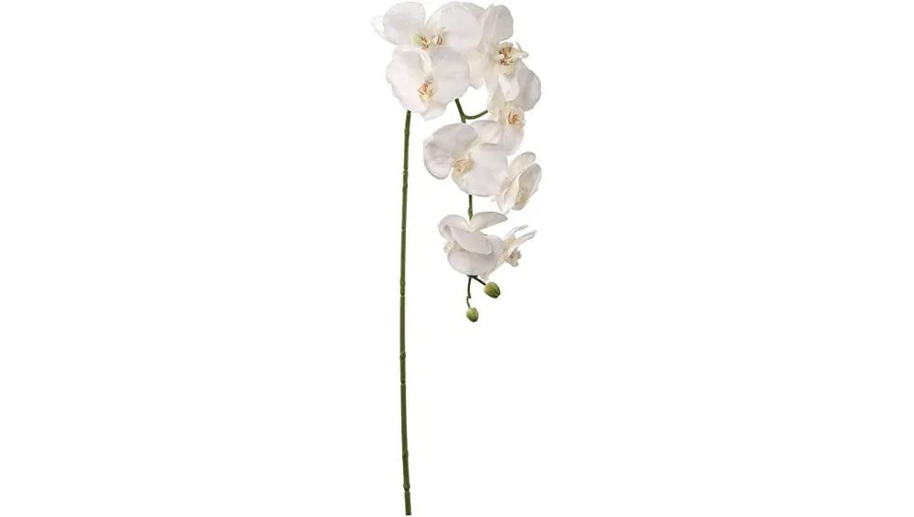 Elegant 33.5" White Orchids: 2 Pack Lifelike Artificial