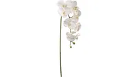 Elegant 33.5" White Orchids: 2 Pack Lifelike Artificial