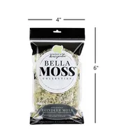 Bella Moss Preserved Reindeer Moss, Natural, 80 cu in.