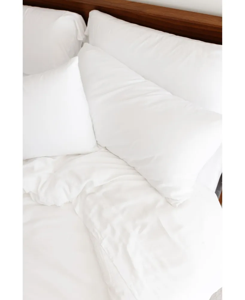 Cozy Earth Silk Pillow, Standard