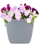 Hc Companies Santa Fe Square Plastic Planter Pebble Gray 12" x 12"