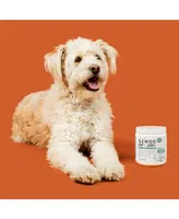 Senior Hip & Joint Support Supplement for Dogs