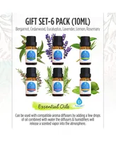 Pursonic Pack of 100% Pure Essential Aromatherapy Oils