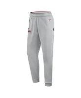 Men's Nike Gray Washington Commanders Sideline Logo Performance Pants