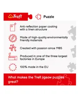 Trefl Red Art Collection 1000 Piece Puzzle- The Starry Night or Bridgeman