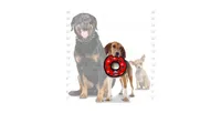 Tuffy Jr Ring Red Paw, 2-Pack Dog Toys